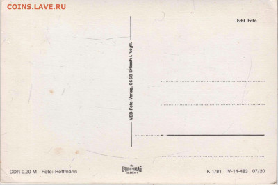 ГДР ЦВЕТЫ до 27.09.24 г. в 23.00 - 001