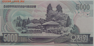 Северная Корея (КНДР)  5000 вон 2006 г.С рубля! до 28.09.24 - DSCN1510.JPG