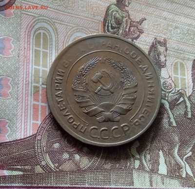 5 копеек 1930. До 30.09.24 в 22.00 - 20240926_135817