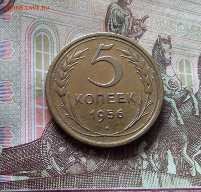 5 копеек 1956. До 30.09.24 в 22.00 - 20240926_141236