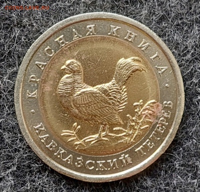 КК 50 рублей 1993 Кавказский тетерев 2.10.24 в 22.00 мск - 20240926_155326_copy_1613x1554