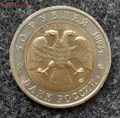 КК 50 рублей 1993 Гималайский медведь 2.10.24 в 22.00 мск - 20240926_155659_copy_1734x1702
