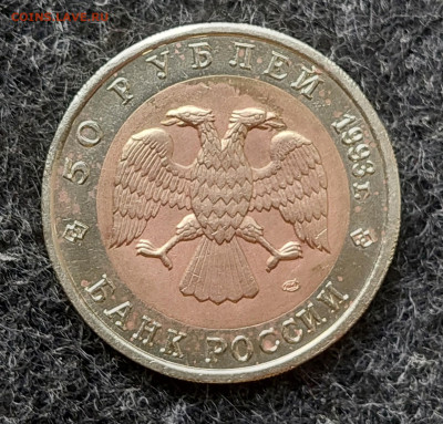 КК 50 рублей 1993  Туркменский зублефар  2.10.24 в 22.00 мск - 20240926_155629_copy_1643x1572