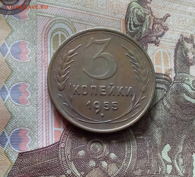 3 копейки 1955. До 30.09.24 в 22.00 - 20240926_171912