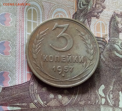 3 копейки 1957. До 30.09.24 в 22.00 - 20240926_172527