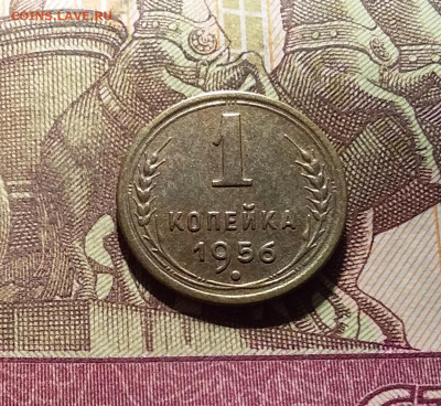 1 копейка 1956. До 30.09.24 в 22.00 - 20240926_195543