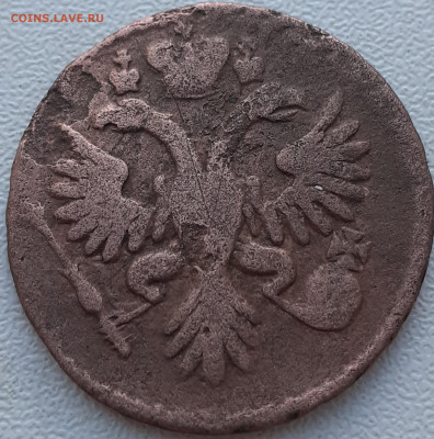 денга 1734 - 20240927_120704