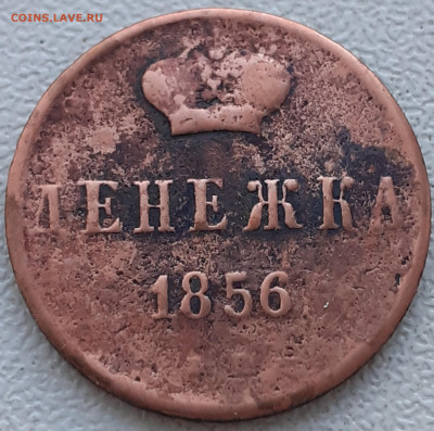 денежка 1856 - 20240927_131433