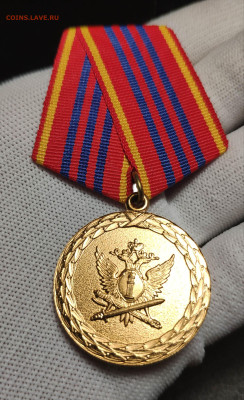 Медаль за службу 10 лет. Люкс. До 1.10.24 - IMG_20240922_003139