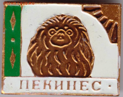 24 г. в 23.00 - 068