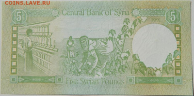 Сирия 5 фунтов 1991 г. С рубля! до 02.10.24 - DSCN1702.JPG