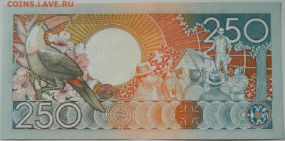 Суринам 250 гульденов 1988 г. С рубля! до 03.10.24 - DSCN1771.JPG