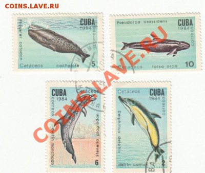 Обмен марок на монеты (пополняемая) - Scan-111225-0005