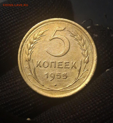 5 копеек 1955 год. СССР Отличная До 08.10 - 20240921_200715
