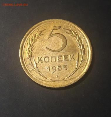 5 копеек 1955 год. СССР Отличная До 08.10 - 20240921_200705
