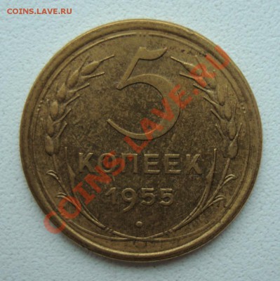 5 копеек 1955 AU до 29-01-12 в 22-00 - 5-55 rev.JPG