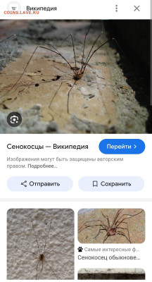 Янтарь, оценка спроса. - Screenshot_2024-10-03-09-34-13-127_com.android.chrome-edit