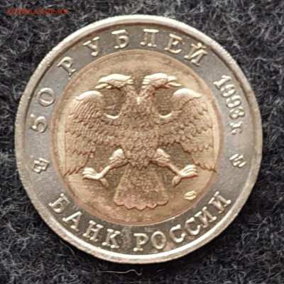 КК 50 рублей 1993 Гималайский медведь 9.10.24 в 22.00 мск - 20241002_172641_copy_1956x1956