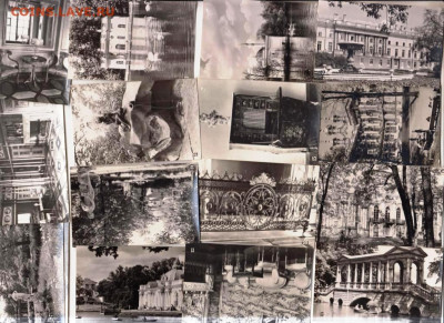 ЕКАТЕРИНИНСКИЙ ПАРК 1968 г. до 10.10.24 г. в 23.00 - 026