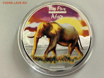 Конго 240 франков 2008 Слон Ag999, до 10.10 - ЯЯ Афр.5-ка Слон-1