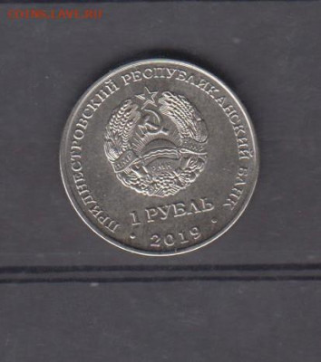 ПМР 2019 1р лилия царские кудри до 12 10 - 41а