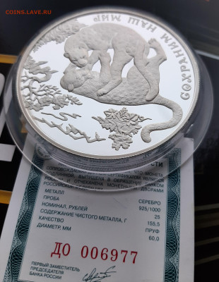 25р 2011 Переднеазиатский леопард. Сохраним наш мир 155.5 - 20241006_183239