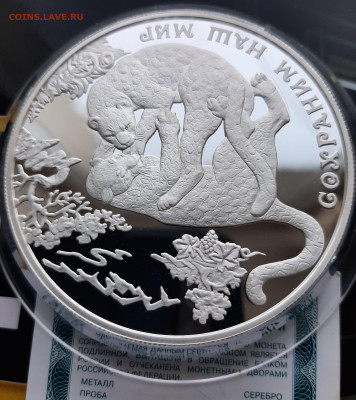 25р 2011 Переднеазиатский леопард. Сохраним наш мир 155.5 - 20241006_183123