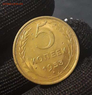 5 копеек 1953 года. До 14.10 - 20240327_223816
