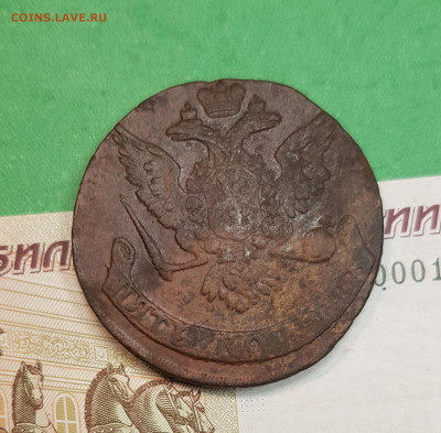5 копеек 1760 г    до 22:00 по МСК 14.10.24 - 20241008_112645