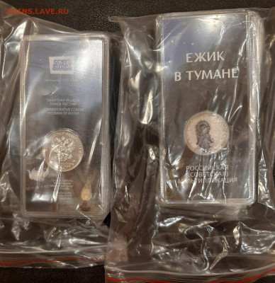25 рублей 2024. Ёжик в тумане. Цветная. UNC. - 7e351224-104e-4ad7-a7ae-8f28839e472b