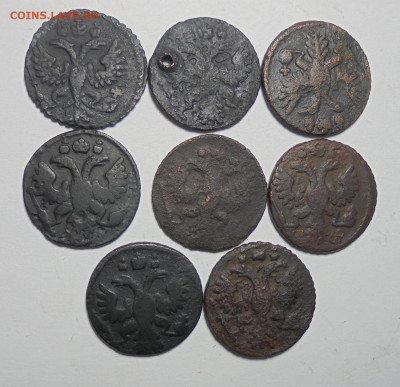 Полушка 1731-36 гг. 8 шт. До 13.10.2024 - 02.JPG
