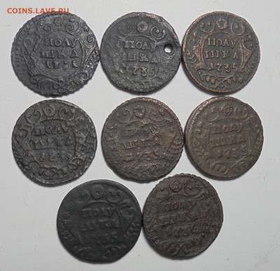 Полушка 1731-36 гг. 8 шт. До 13.10.2024 - 01.JPG