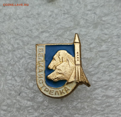 2 значка космос СССР Лайки и Белка и Стрелка до 15.10 - IMG_20241009_180931