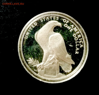 1 доллар США, серебро. До 12.10.2024 в 22.00 - 1728232331069