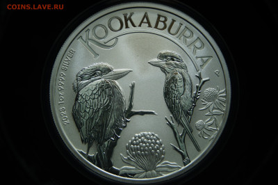 Австралия 1 доллар 2023 Кукабарра серебро - _DSC9263.JPG
