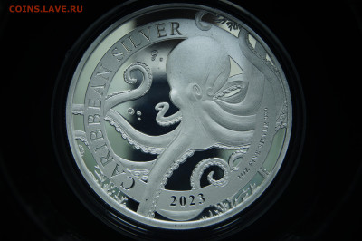 Барбадос 1 доллар 2023 Осьминог, Карибское серебро - _DSC9267.JPG