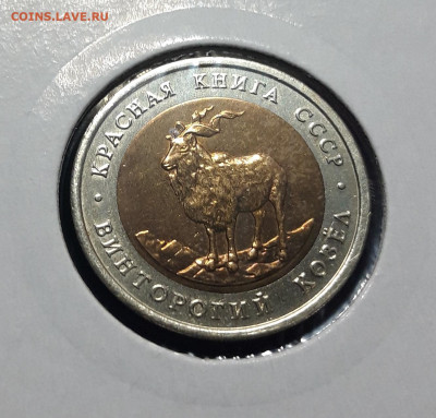 5 рублей 1991 г. К.К. ВИНТОРОГИЙ КОЗЕЛ ШИКАРНЫЙ До 16.10 - 20241010_191444