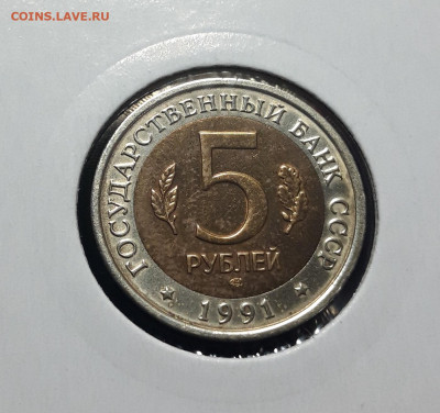 5 рублей 1991 г. К.К. ВИНТОРОГИЙ КОЗЕЛ ШИКАРНЫЙ До 16.10 - 20241010_191427