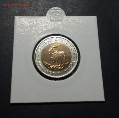 5 рублей 1991 г. К.К. ВИНТОРОГИЙ КОЗЕЛ ШИКАРНЫЙ До 16.10 - 20241010_191401