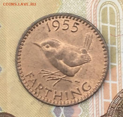 Великобритания 1 фартинг 1955 до 16.10 в 22.00 - IMG_E1092.JPG