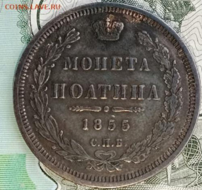 полтина 1855 СПб-НI до 15.10.24 22.00 мск - 335-1.md