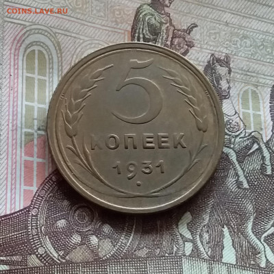 5 копеек 1931. До 17.10.24 в 22.00 - 20241012_115806