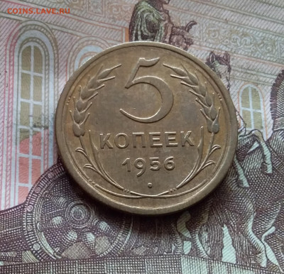 5 копеек 1956. До 17.10.24 в 22.00 - 20241012_121818
