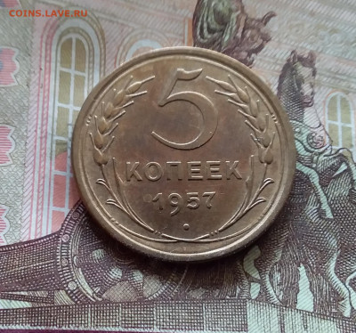 5 копеек 1957. До 17.10.24 в 22.00 - 20241012_122107
