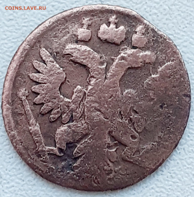 полушка 1736 - 20241012_113000