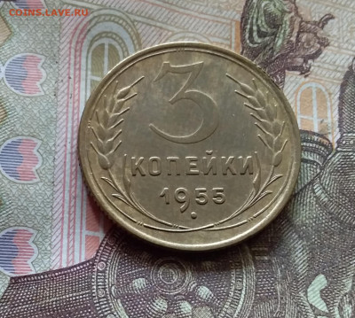 3 копейки 1955. До 17.10.24 в 22.00 - 20241012_141203