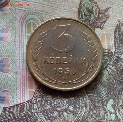 3 копейки 1956. До 17.10.24 в 22.00 - 20241012_141425