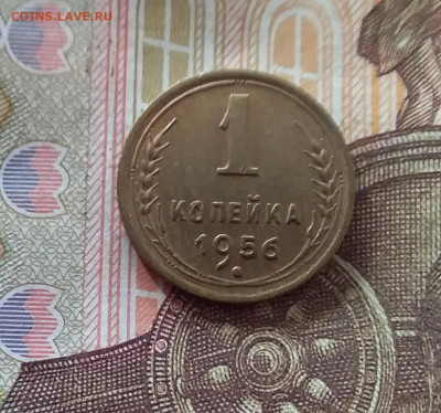 1 копейка 1956. До 17.10.24 в 22.00 - 20241012_233804