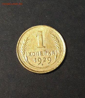1 КОПЕЙКА 1929 год. БЛЕСК. СОСТОЯНИЕ! До 19.10 - 20240814_203447