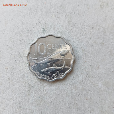 Багамские Острова 10 Центов 2010 год , Рыба Альбула - IMG20241013174755